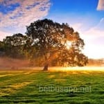 Avatar de Iván Téllez